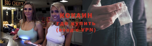 ешки Арсеньев