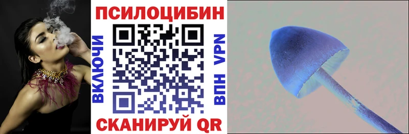 darknet официальный сайт  Беслан  Псилоцибиновые грибы ЛСД 